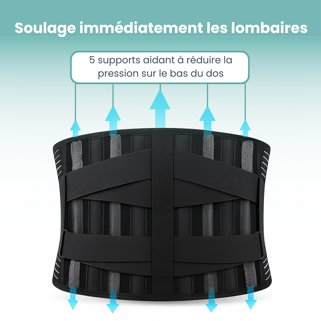 Ceinture Lombaire Classique
